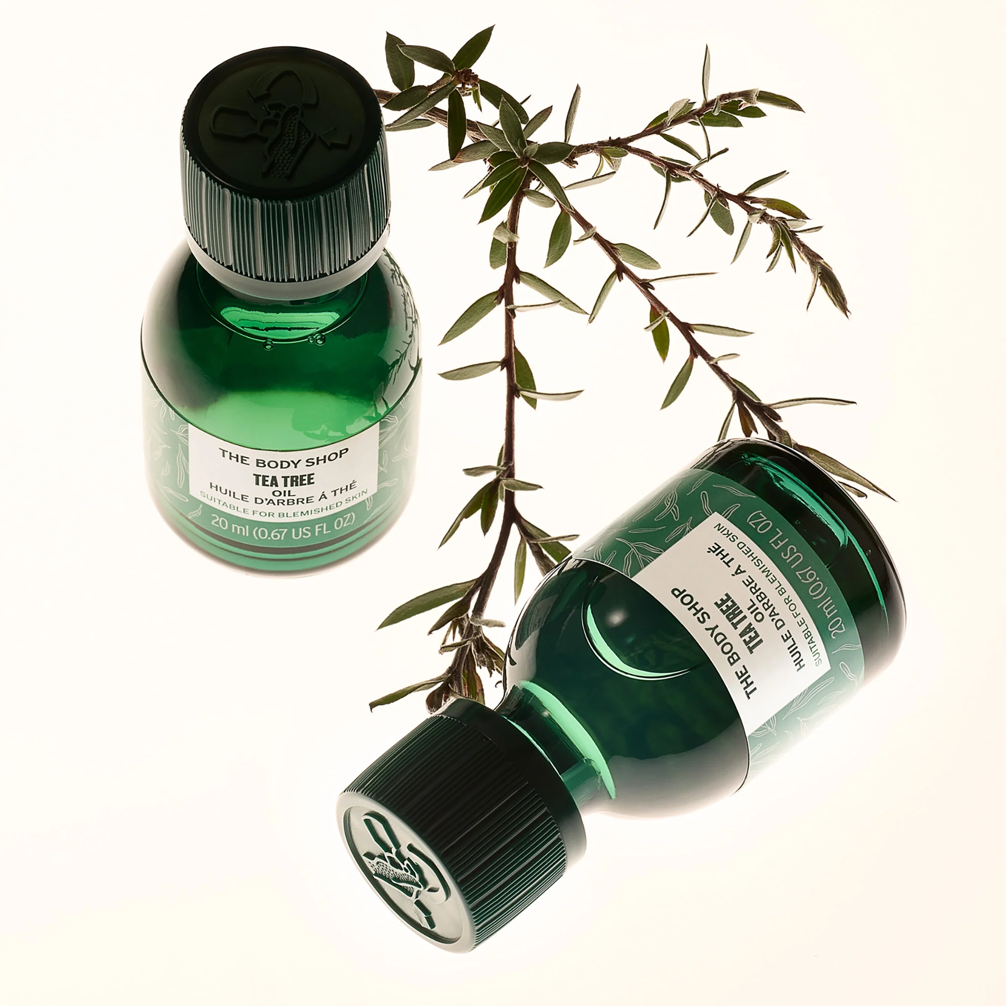 Tea Tree Oil - Image 4
